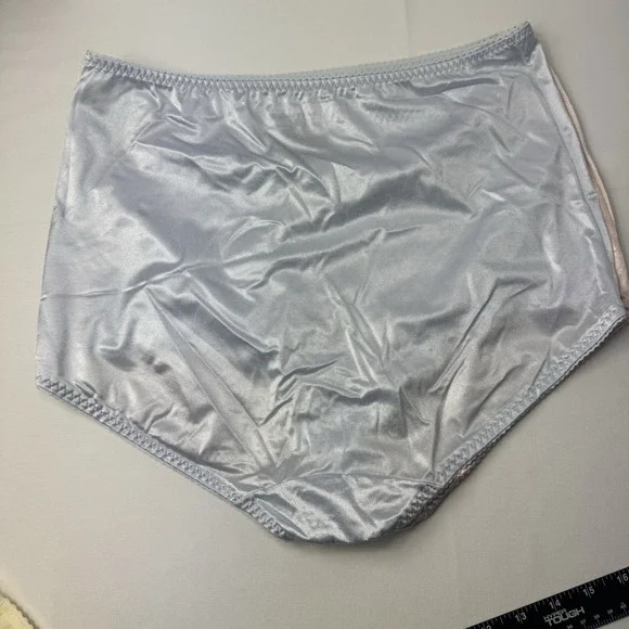 Vanity Fair Smoothing Brief Panties 3X Plus Light Control Nylon NWOT Beige Blue - Picture 9 of 10